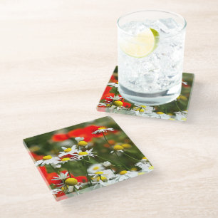 In A Field of Poppies Be A Daisy Glass Coaster