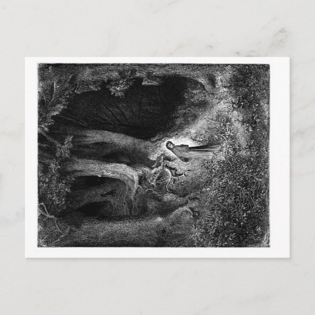 in a gloomy wood postcard (Front)