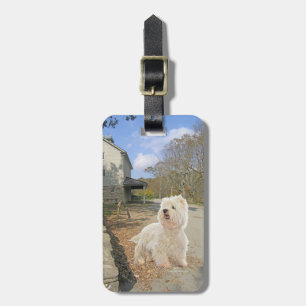 In Autumn Luggage Tag