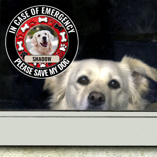 In Case of Emergency Save My Dog Window Cling