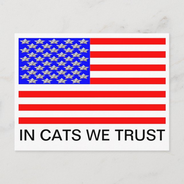 In Cats We Trust Postcard (Front)