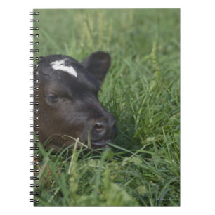 In Chinese zodiac, 2009 is year of ox. Spiral Notebook