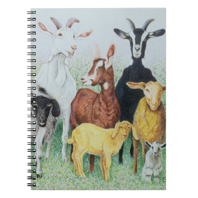 In Clover Spiral Notebook (Front)