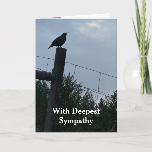 In Deepest Sympathy California Quail Bird  Card (Front)