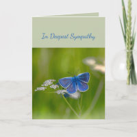 In Deepest Sympathy Help in Difficulty Butterfly C