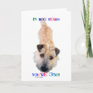 In Dog Years You're 350 Card