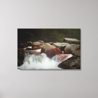 In Dought Of Springtime Drought Print