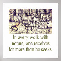 In Every Walk With Nature - Quote