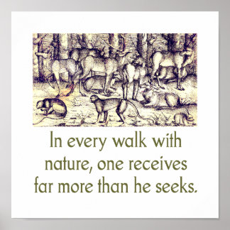 In Every Walk With Nature - Quote Poster