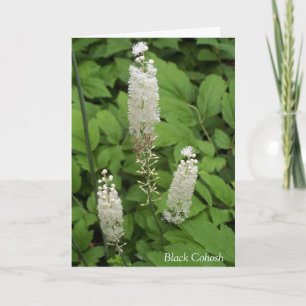 In Friendship's Fragrant Garden Flower Quote Card