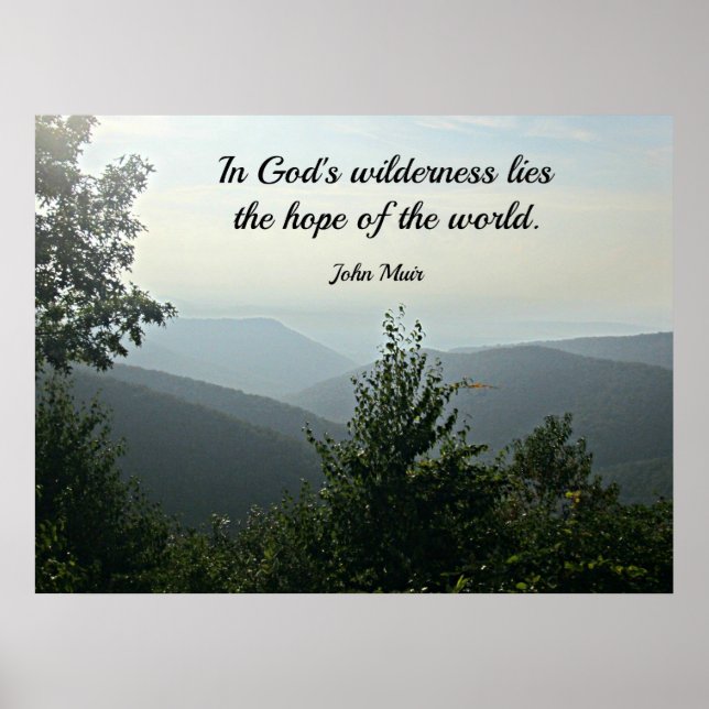 In God's wilderness lies the hope of the world. Poster (Front)