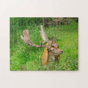 In hiding - little deer - wildlife photography jigsaw puzzle