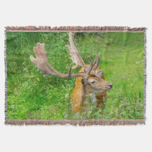 In hiding - little deer - wildlife photography throw blanket