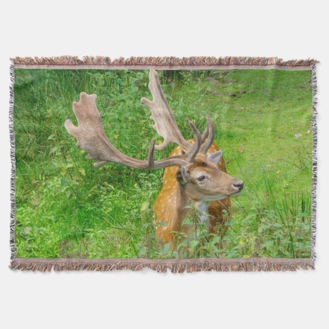 In hiding - little deer - wildlife photography throw blanket (Front)