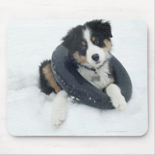 in inner tube in the snow mouse pad