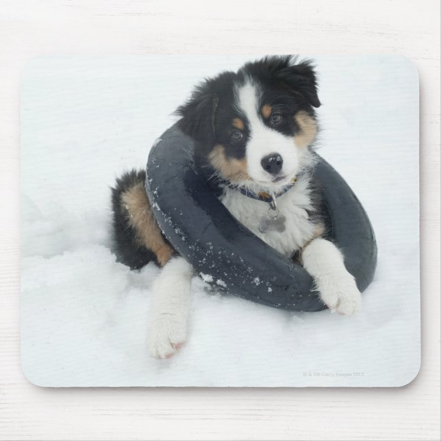 in inner tube in the snow mouse pad (Front)
