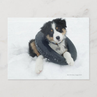 in inner tube in the snow postcard