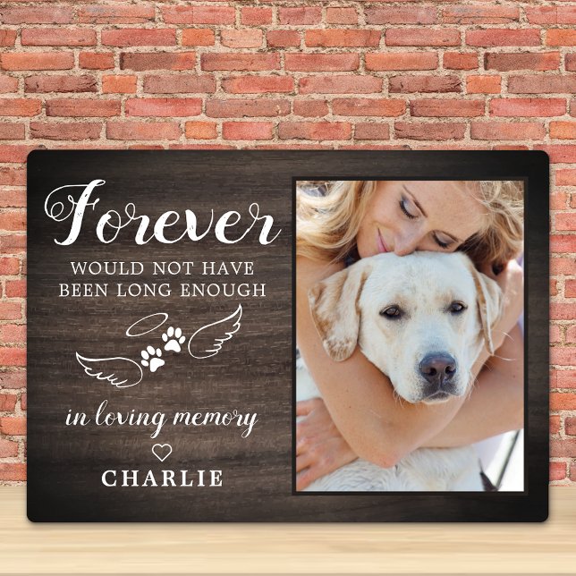In Loving Memory Angel Wings Pet Memorial Photo Plaque (Creator Uploaded)