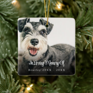 In Loving Memory Elegant Photo Pet Memorial Ceramic Ornament