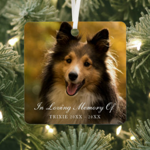 In Loving Memory Elegant Photo Pet Memorial Metal Tree Decoration