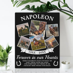 In Loving Memory Horse Plaque