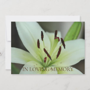 In Loving Memory Memorial Service Invitation