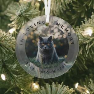 In Loving Memory Pet Cat Christmas Photo Glass Tree Decoration