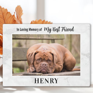 In Loving Memory - Pet Loss Sympathy Dog Memorial Plaque