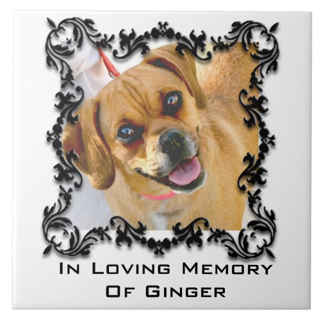 In Loving Memory Pet Memorial Photo Ceramic Tile (Front)