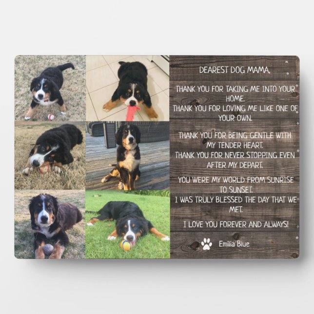 In Loving Memory Pet Memorial Quote Photo Collage Plaque (Front)
