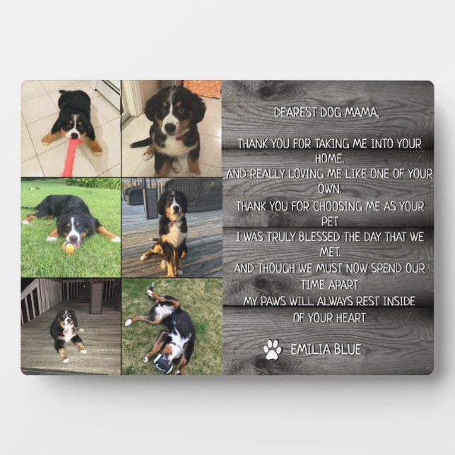 In Loving Memory Pet Memorial Quote Photo Collage Plaque (Front)