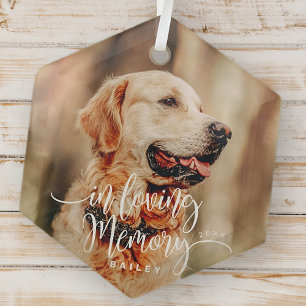 In  Loving Memory Pet Memorial Simple Modern Photo Glass Tree Decoration