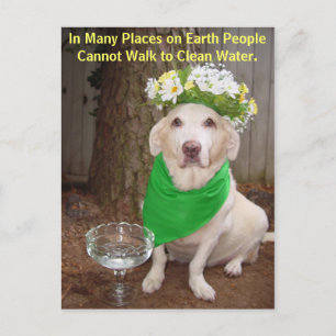 In Many Places on Earth People Cannot Walk to Clea Postcard