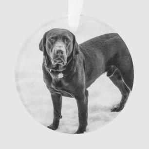 In Memory - Black Lab customisable memorial Ornament