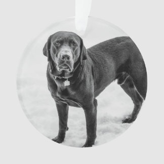 In Memory - Black Lab customisable memorial Ornament