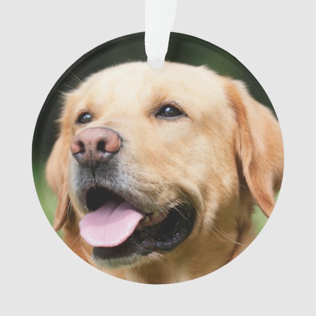 In Memory - Gold Lab customisable Memorial  Ornament (Front)
