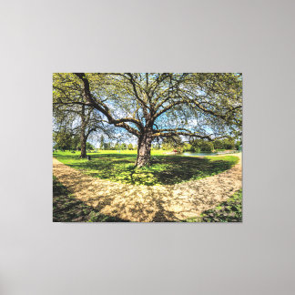 In memory of a Plane Tree, Godmanchester. Canvas Print