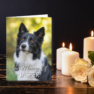 In Memory Of Pet Memorial Sympathy Custom Photo Card