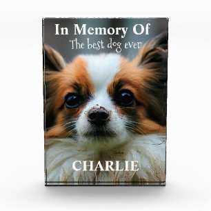 In Memory of the best dog ever Photo Block