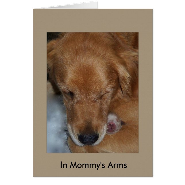 In Mummy's Arms (Front)