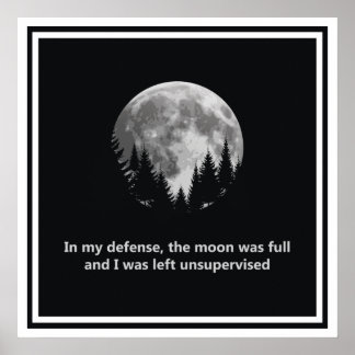 In my defence, the moon was full poster