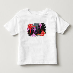 In New York City. Christmas decoration inside Toddler T-Shirt