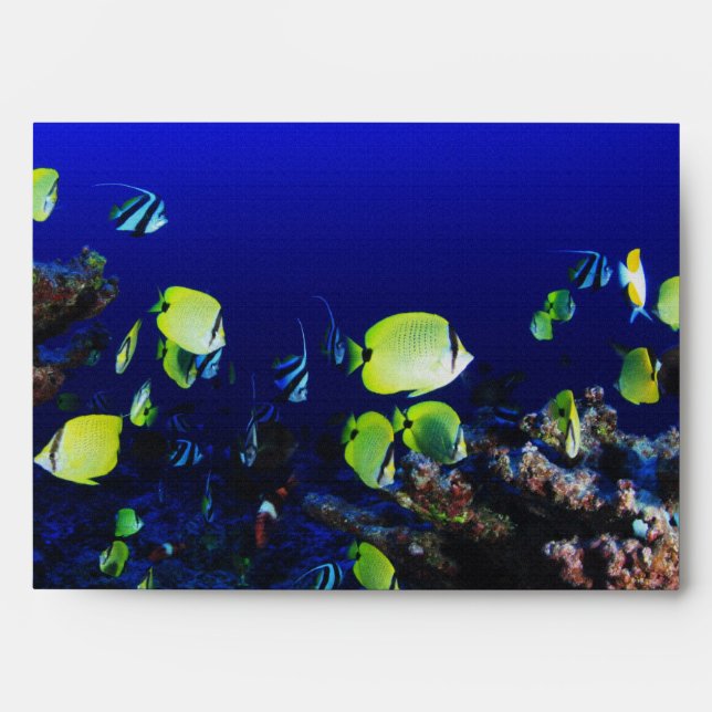 in ocean fish envelopes (Front)
