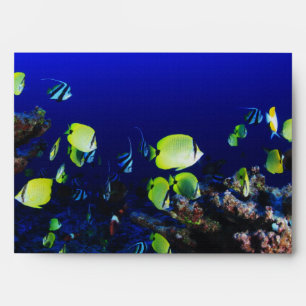 in ocean fish envelopes