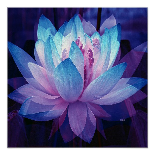 In Perfect Love... Poster (Front)