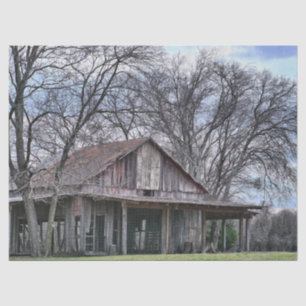 In Ruins Wood Barn with Surrounding Bare Trees     Tissue Paper