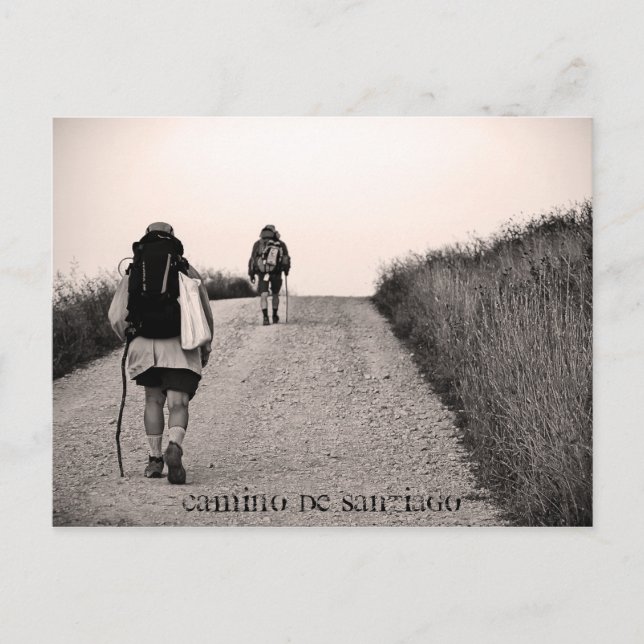 In search, Camino de Santiago Postcard (Front)