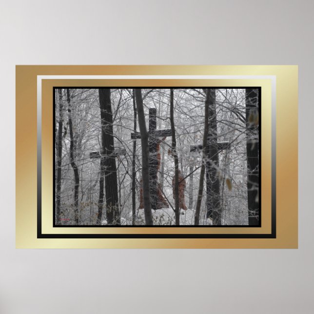 In Spite of Ice and Fog Poster (Front)