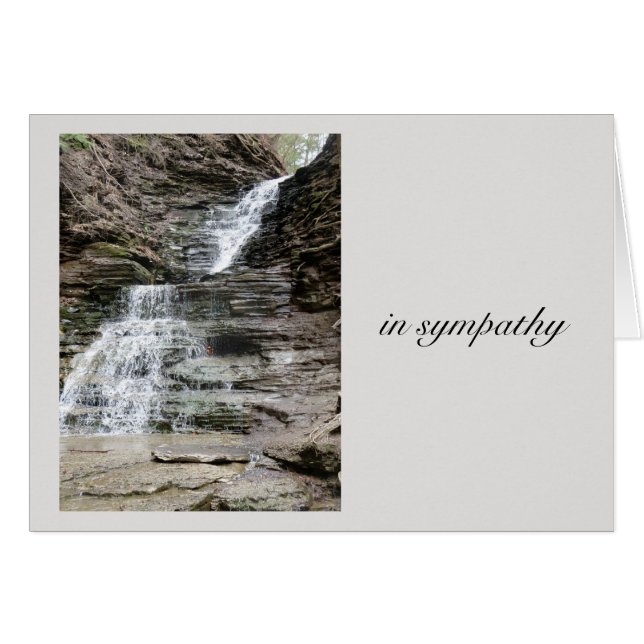 In Sympathy (Front Horizontal)