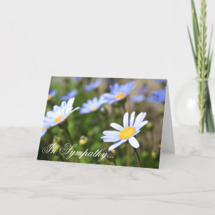 In Sympathy Blue Margurite flower greeting card